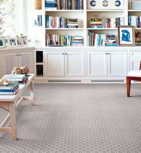 carpet flooring for homes